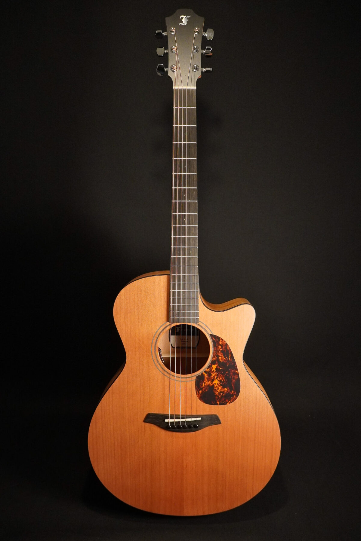 Furch Blue Gc-CM/L.R.Baggs EAS-VTC