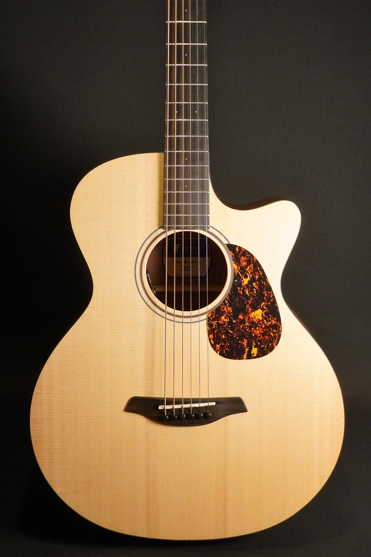 Furch Blue Plus BARc-SW A/L.R.Baggs EAS-VTC 2025 - Image 3