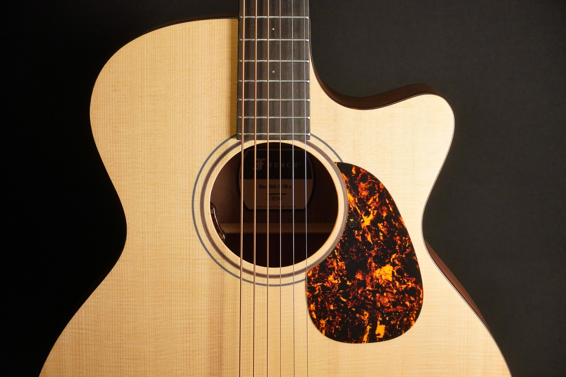 Furch Blue Plus BARc-SW A/L.R.Baggs EAS-VTC 2025 - Image 4