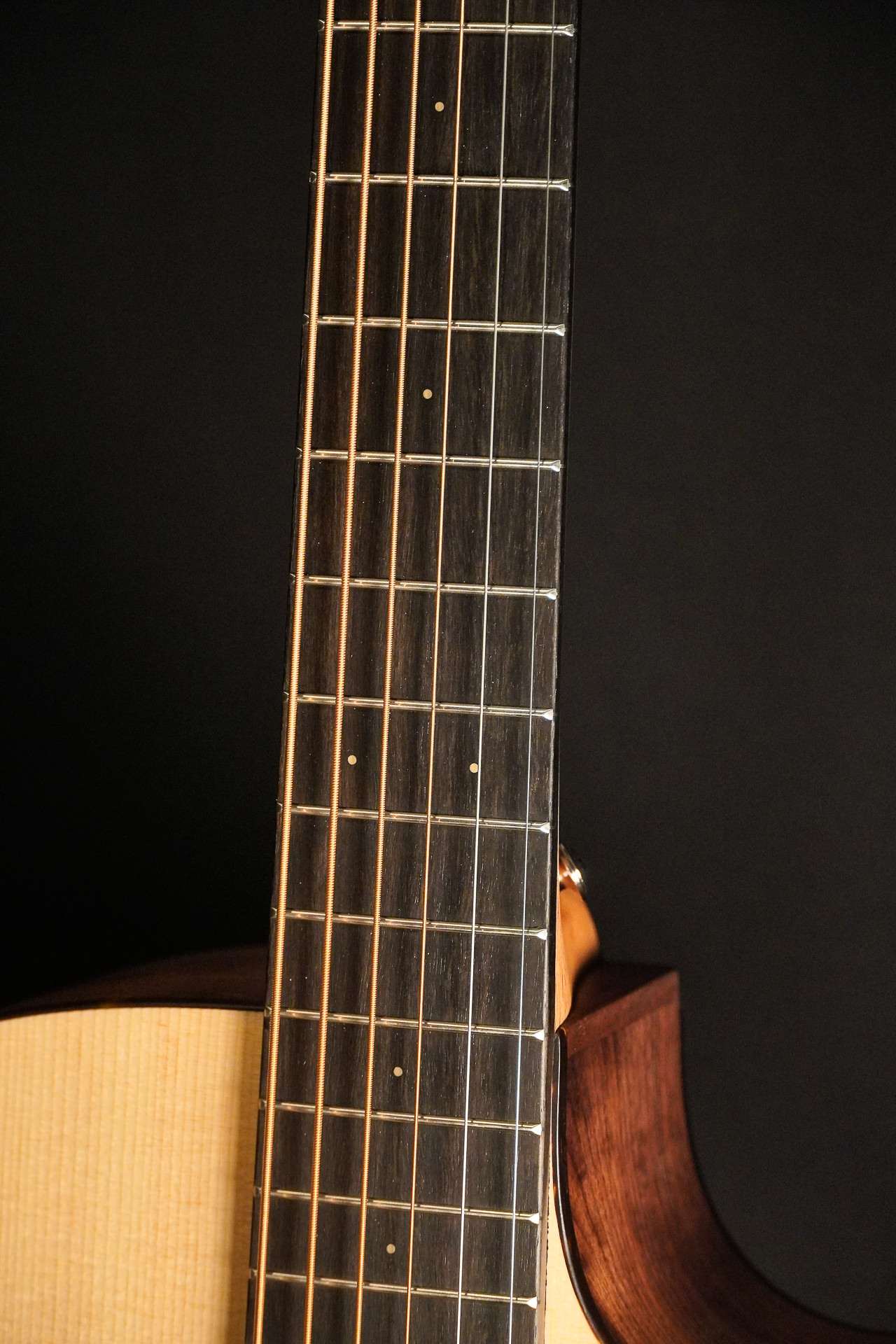 Furch Blue Plus BARc-SW A/L.R.Baggs EAS-VTC 2025 - Image 6