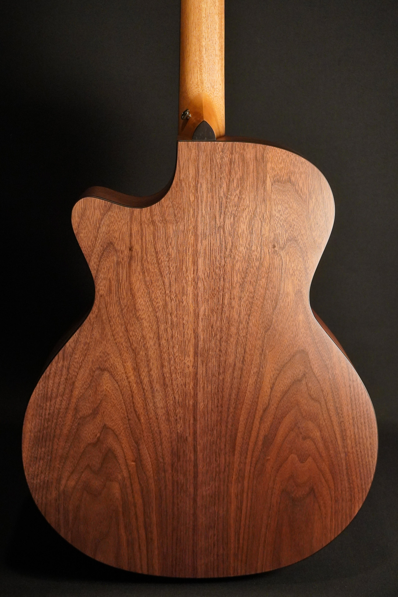 Furch Blue Plus BARc-SW A/L.R.Baggs EAS-VTC 2025 - Image 7