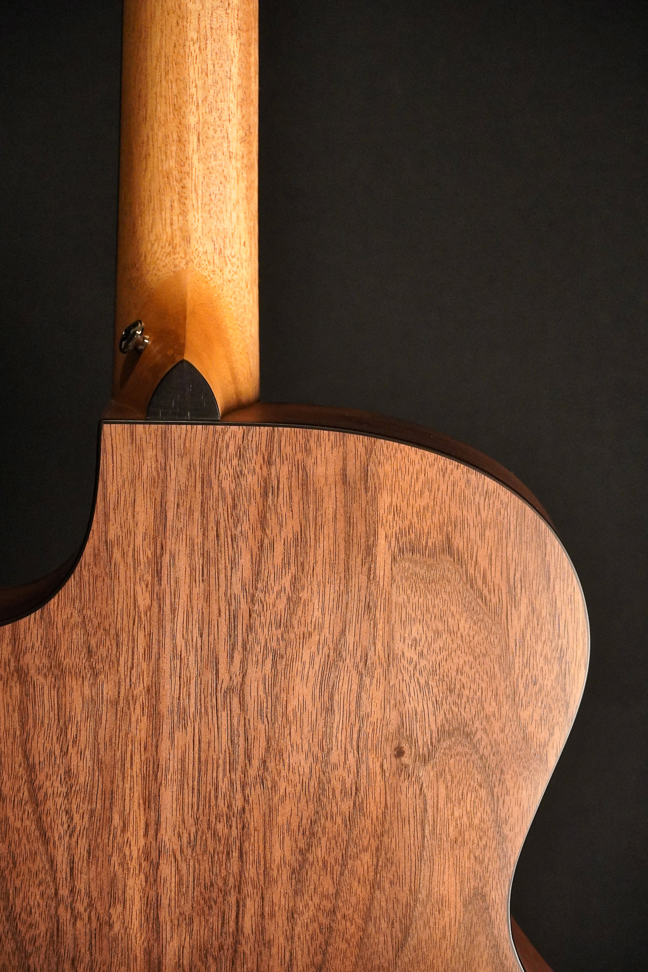 Furch Blue Plus BARc-SW A/L.R.Baggs EAS-VTC 2025 - Image 9