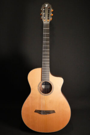 Furch GNc 2-CW/L.R. Baggs EAS-VTC