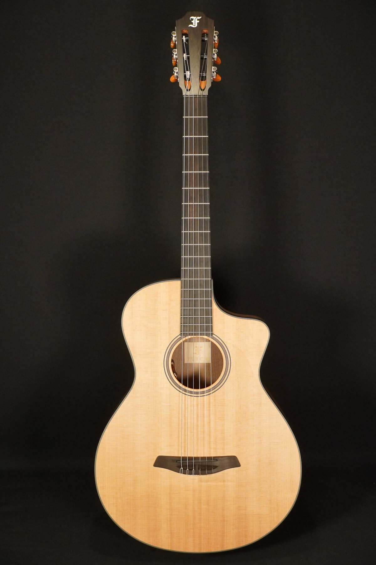 Furch GNc 2-SW/L.R. Baggs EAS-VTC