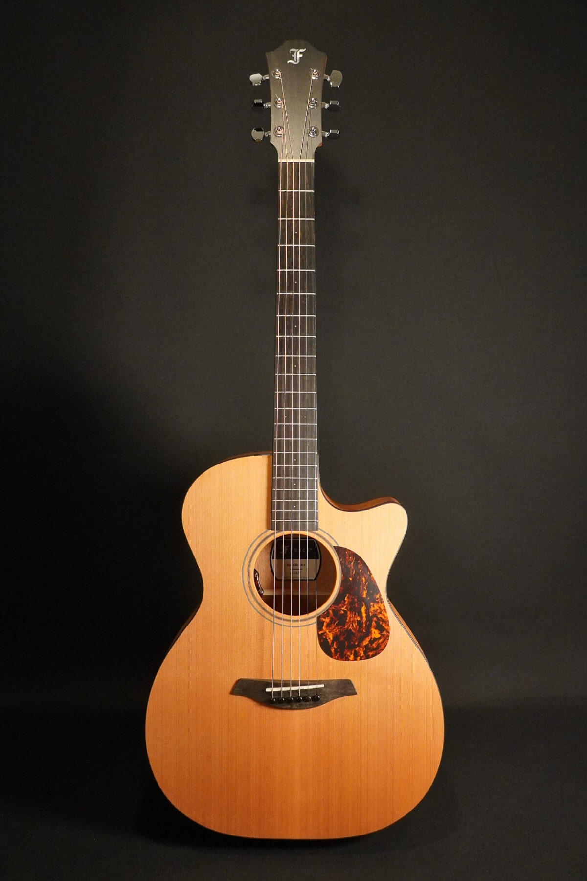 Furch Blue OMc-CMA/ L.R. Baggs EAS-VTC 2025