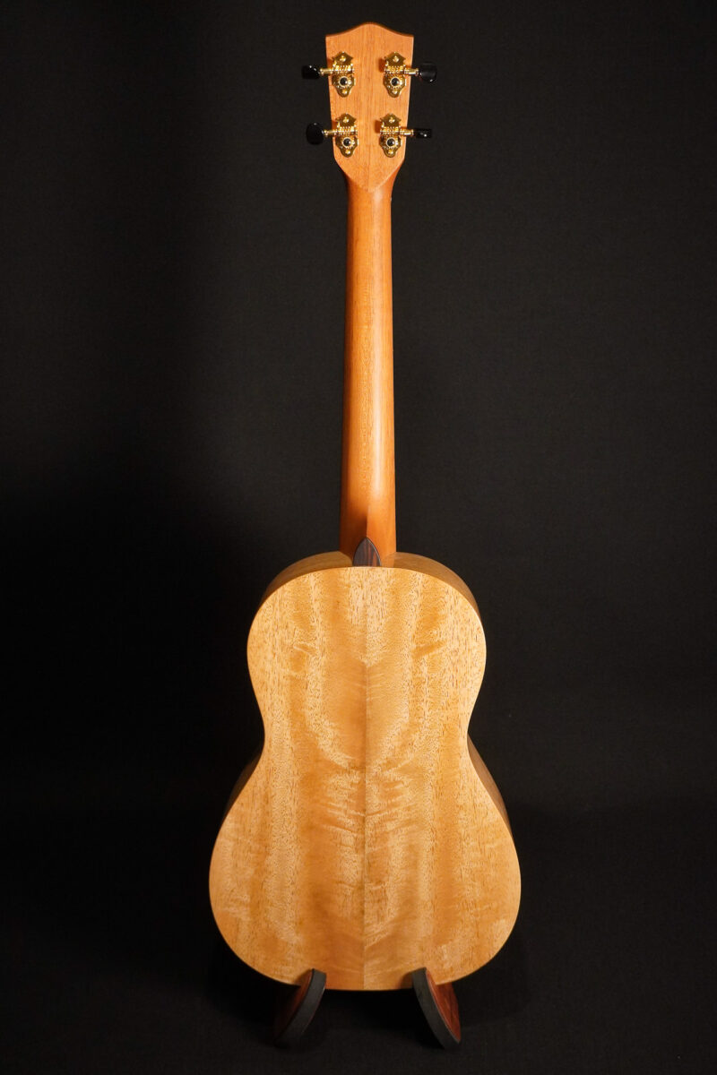 Pono MGBD – Bild 2