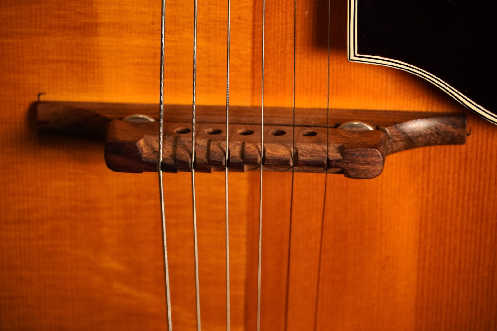 Roger jazz guitar 50s - Image 7