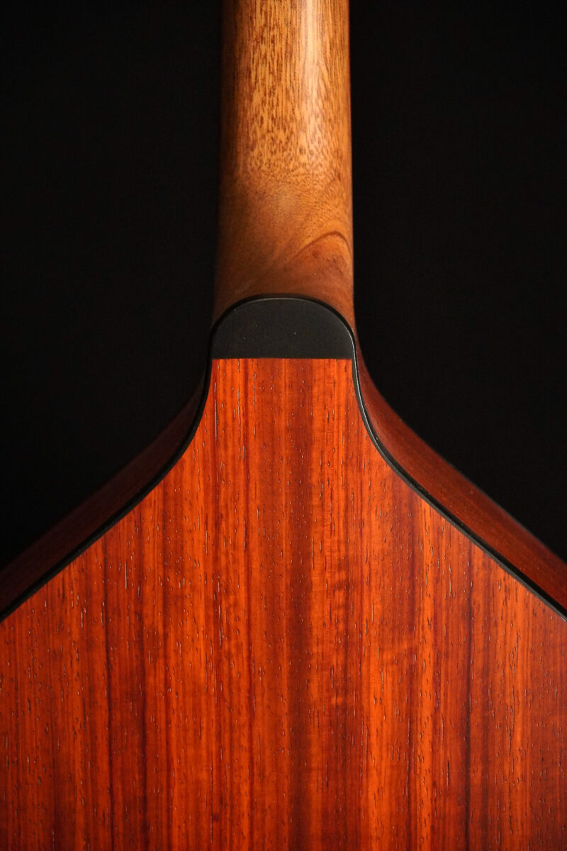 Stevens Irish Bouzouki – Sitka / Padouk / Headstock Ornament – Bild 9