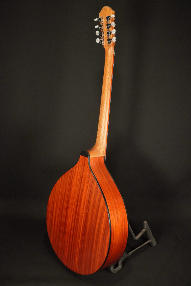 Stevens Irish Bouzouki – Sitka / Padouk / Headstock Ornament – Bild 11