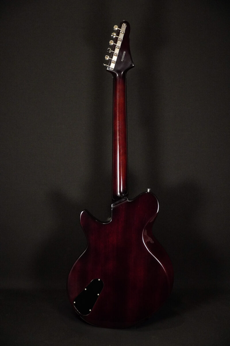 Eastman Henry James Signature Juliet 2024 - Sunburst – Bild 2
