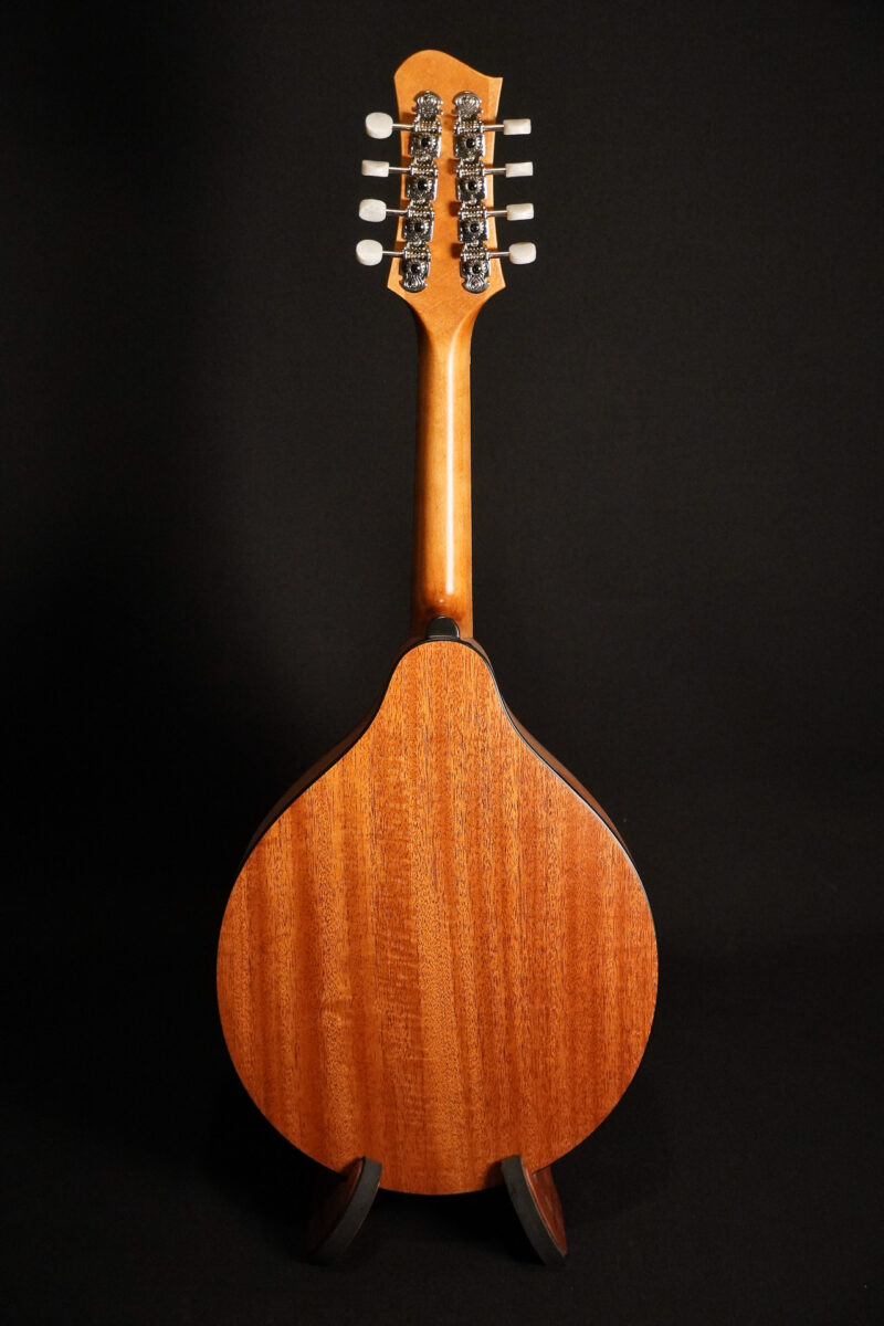Eastman PCH-M104-NAT – Bild 2