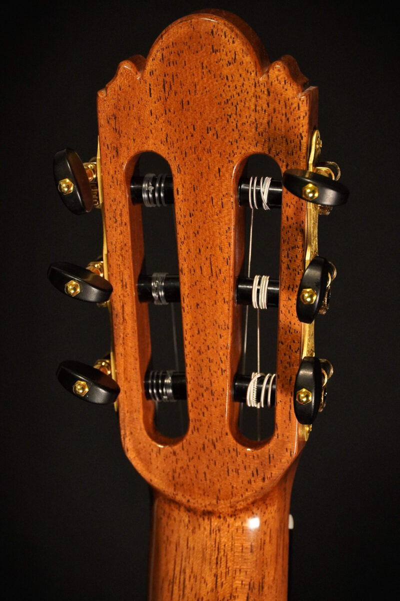 Wolfgang Jellinghaus – Alemana EF Madagascar Rosewood 2025 - Schellack – Bild 10
