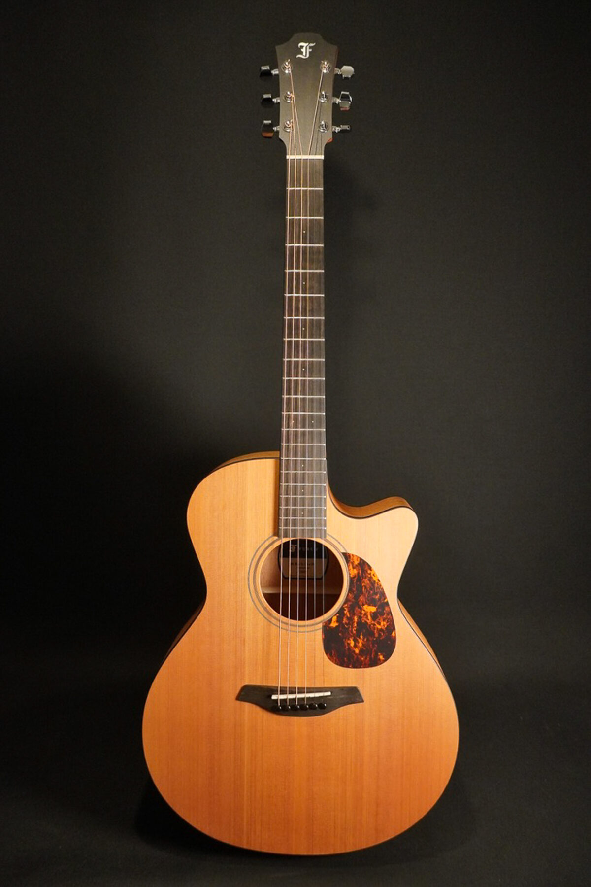 Furch Blue MC Gc-CM a SPE / Stage Pro Element