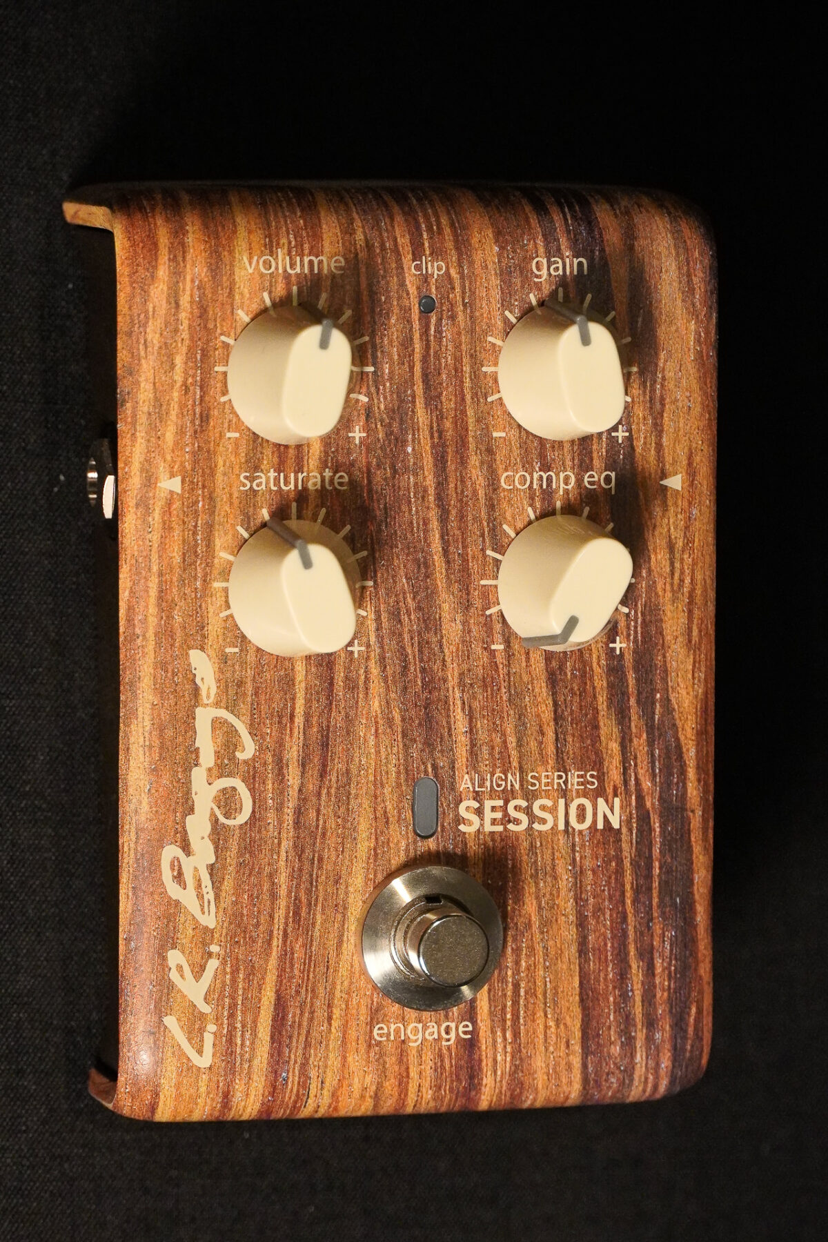 LR BAGGS Align Session