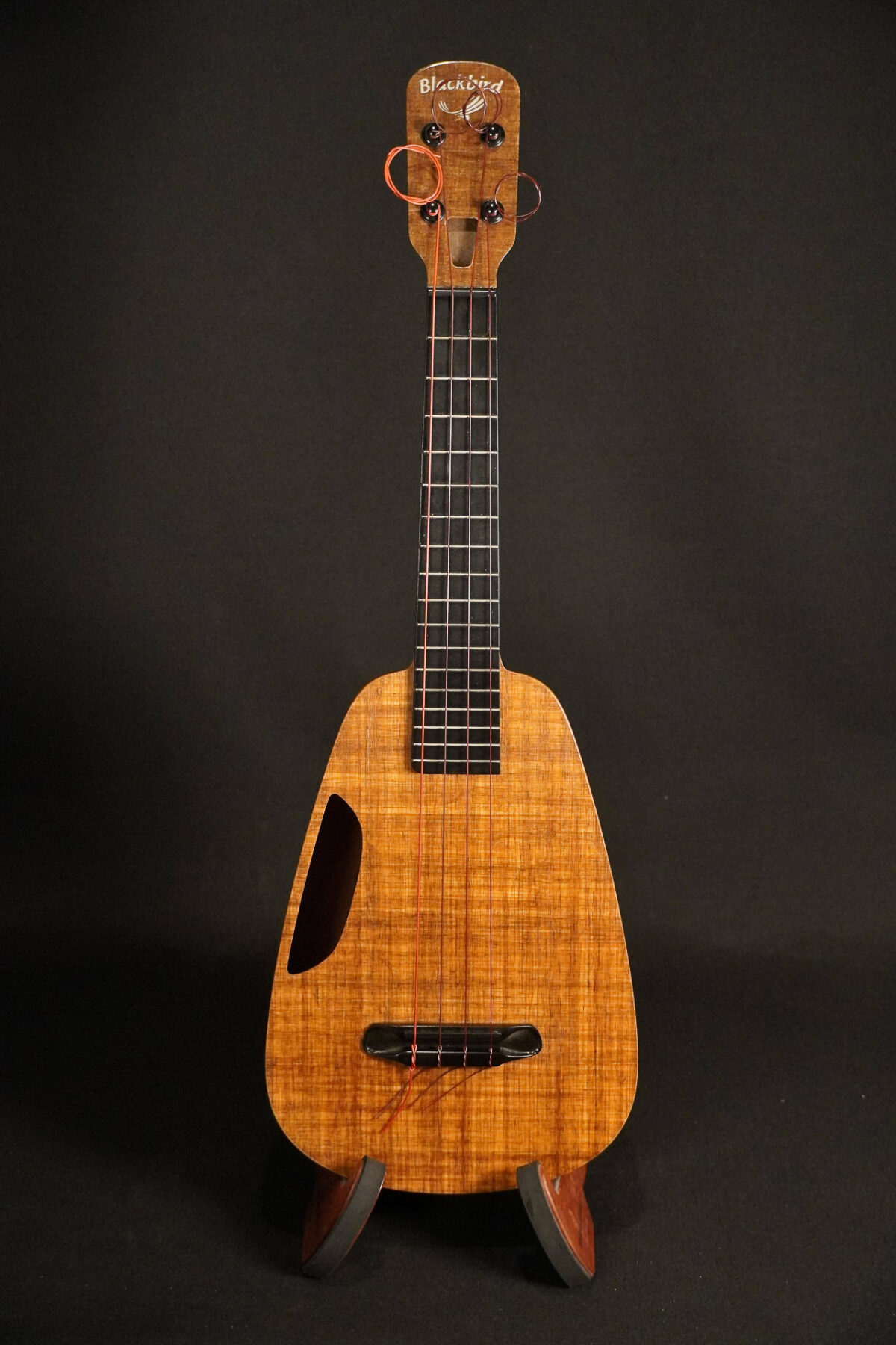 Blackbird CLARA Concert UKULELE