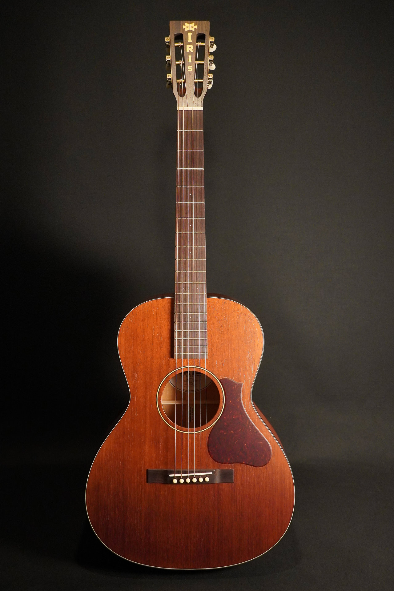 Iris MS-OO Custom All Mahogany