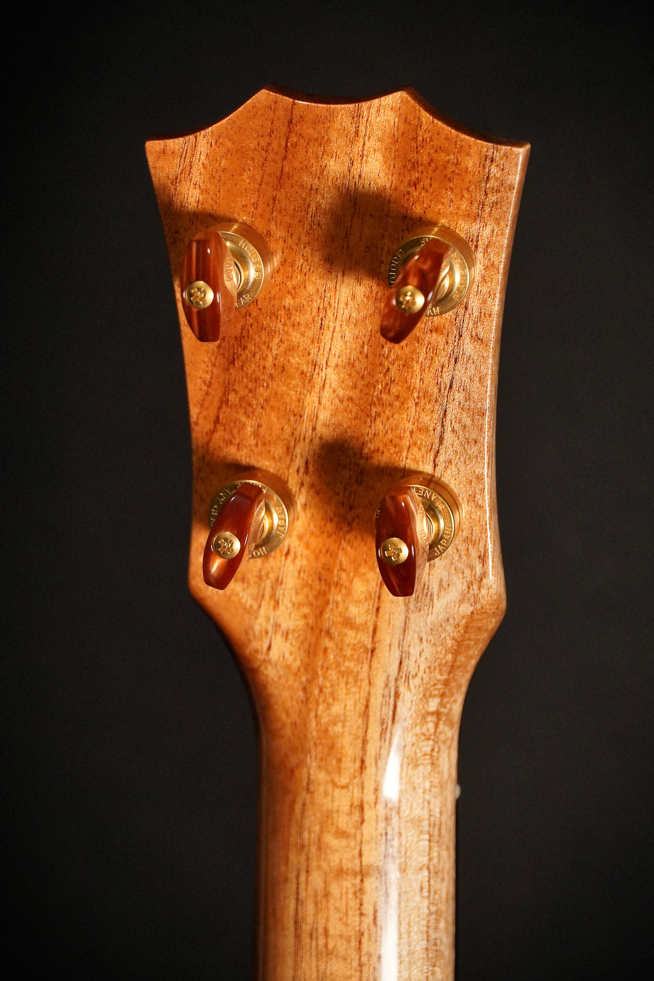 Rebel Double Creme Tenor Gloss 2025 – Bild 6