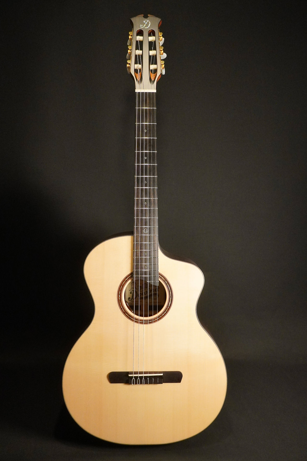 Dowina Rosewood / Spruce HCE Nylon L.R.Baggs EAS VTC 2025