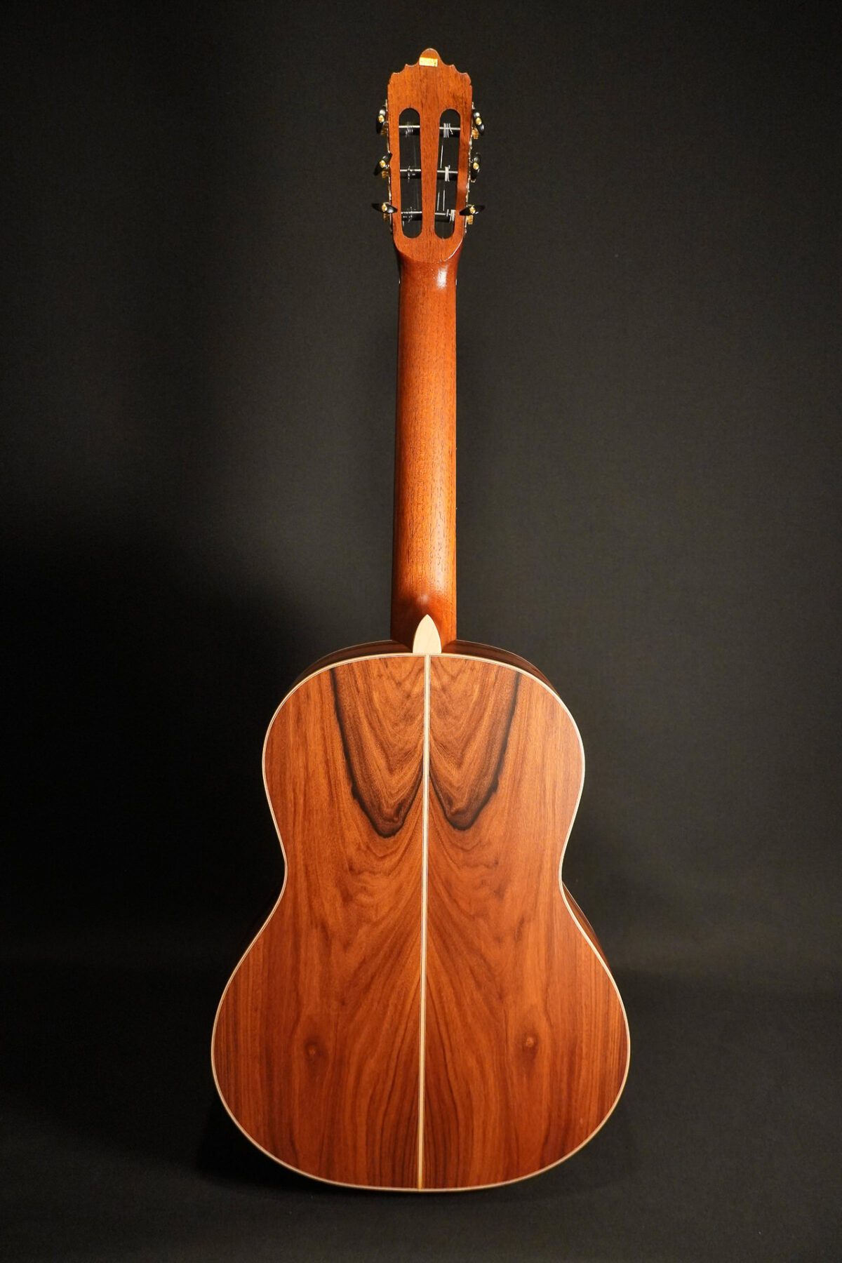 Alternative view of La Mancha Zafiro CM