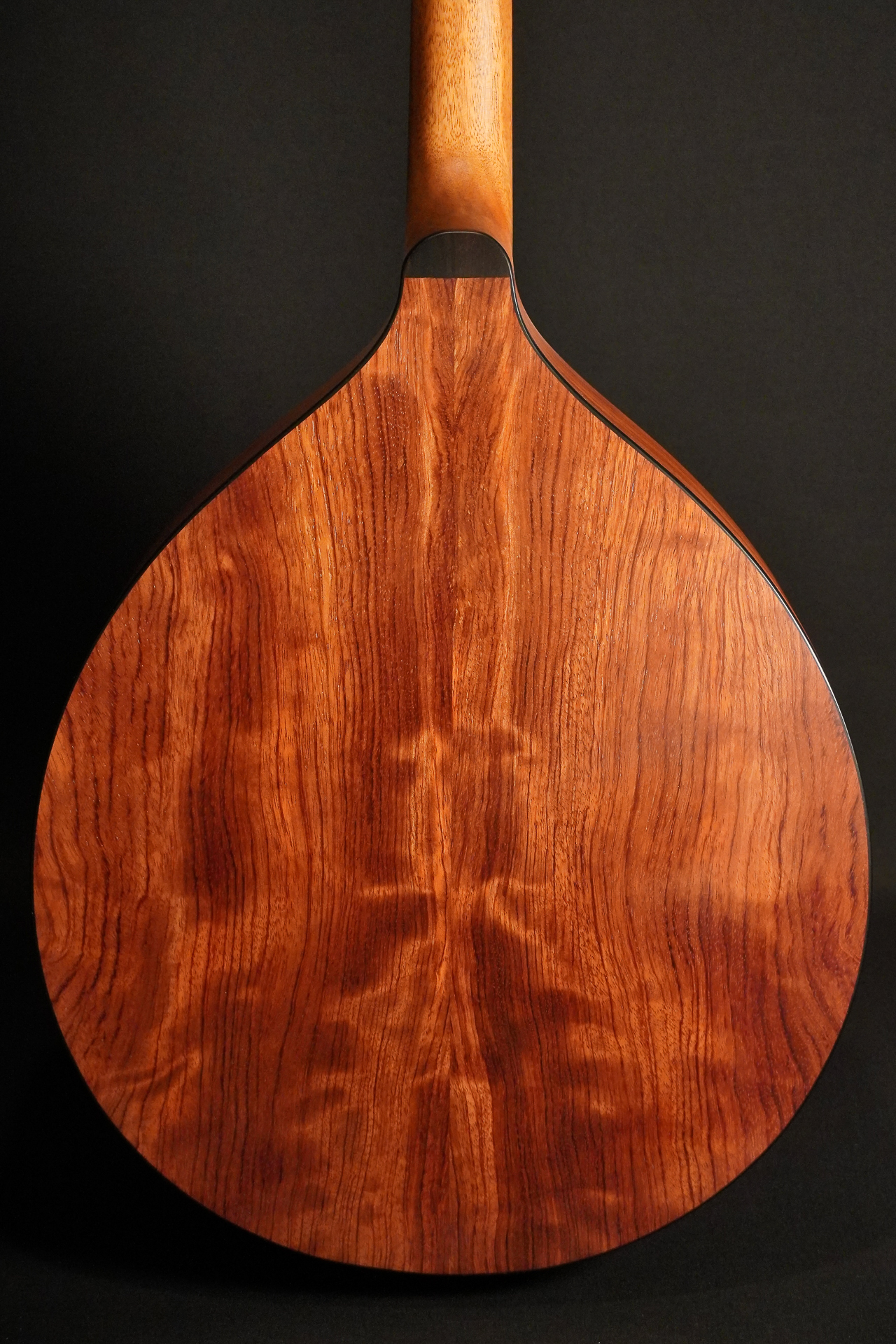 Stevens Irish Bouzouki - Ornament Kesselberg spruce / Bubinga 2025 - Image 9