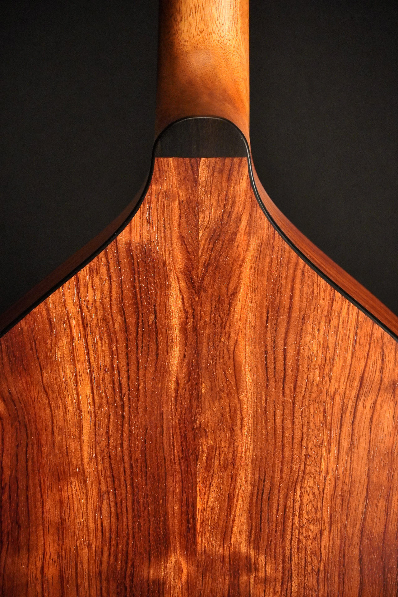 Stevens Irish Bouzouki - Ornament Kesselberg spruce / Bubinga 2025 - Image 10