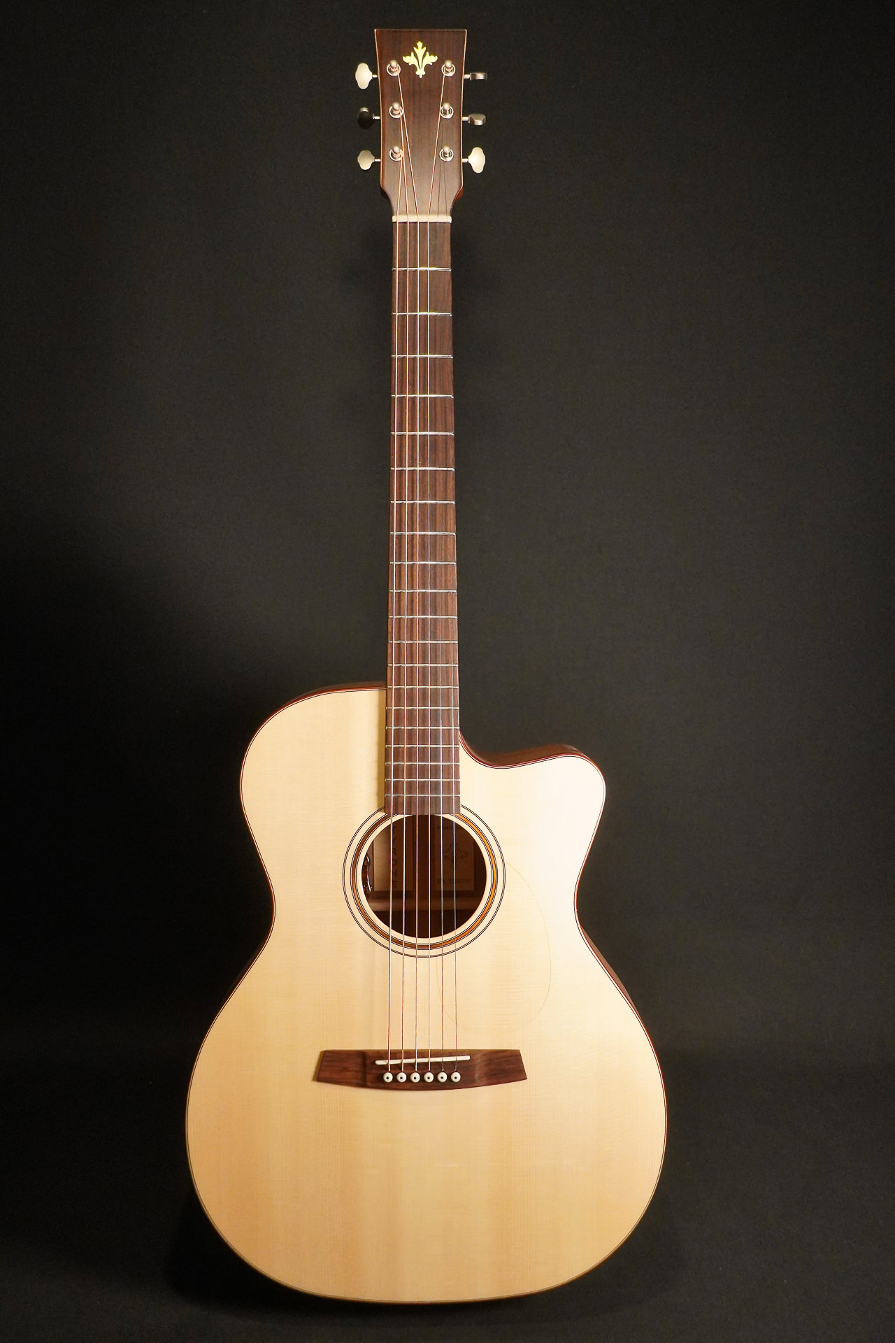 Tyrone OM Cut Silver L.R.Baggs EAS VTC