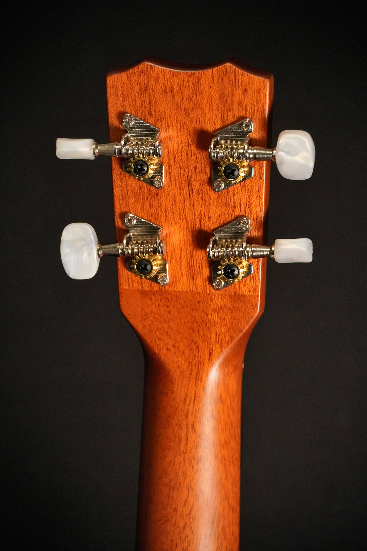Cordoba 20BM Baritone Ukulele - Image 6