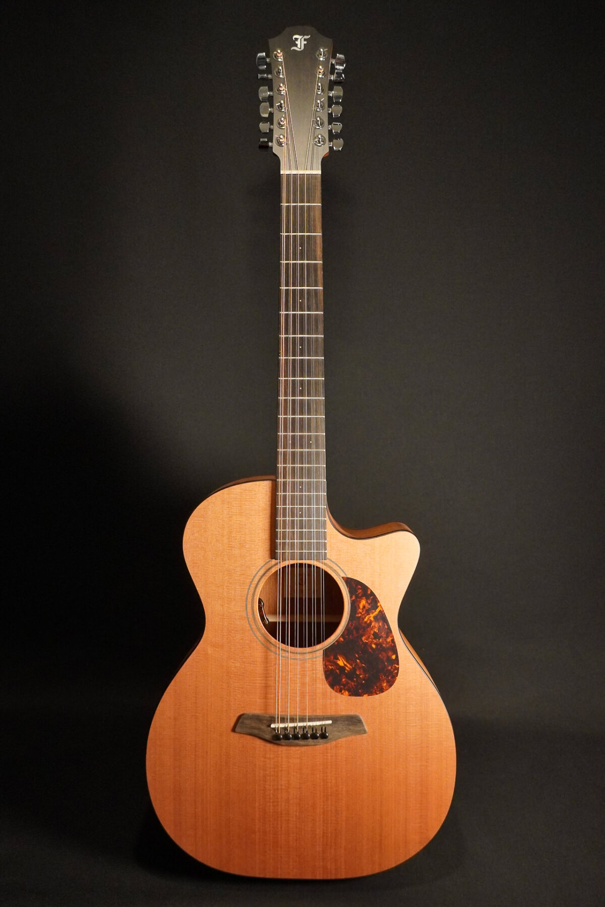 Furch Blue OMC-CM 12-String L.R.Baggs EAS VTC