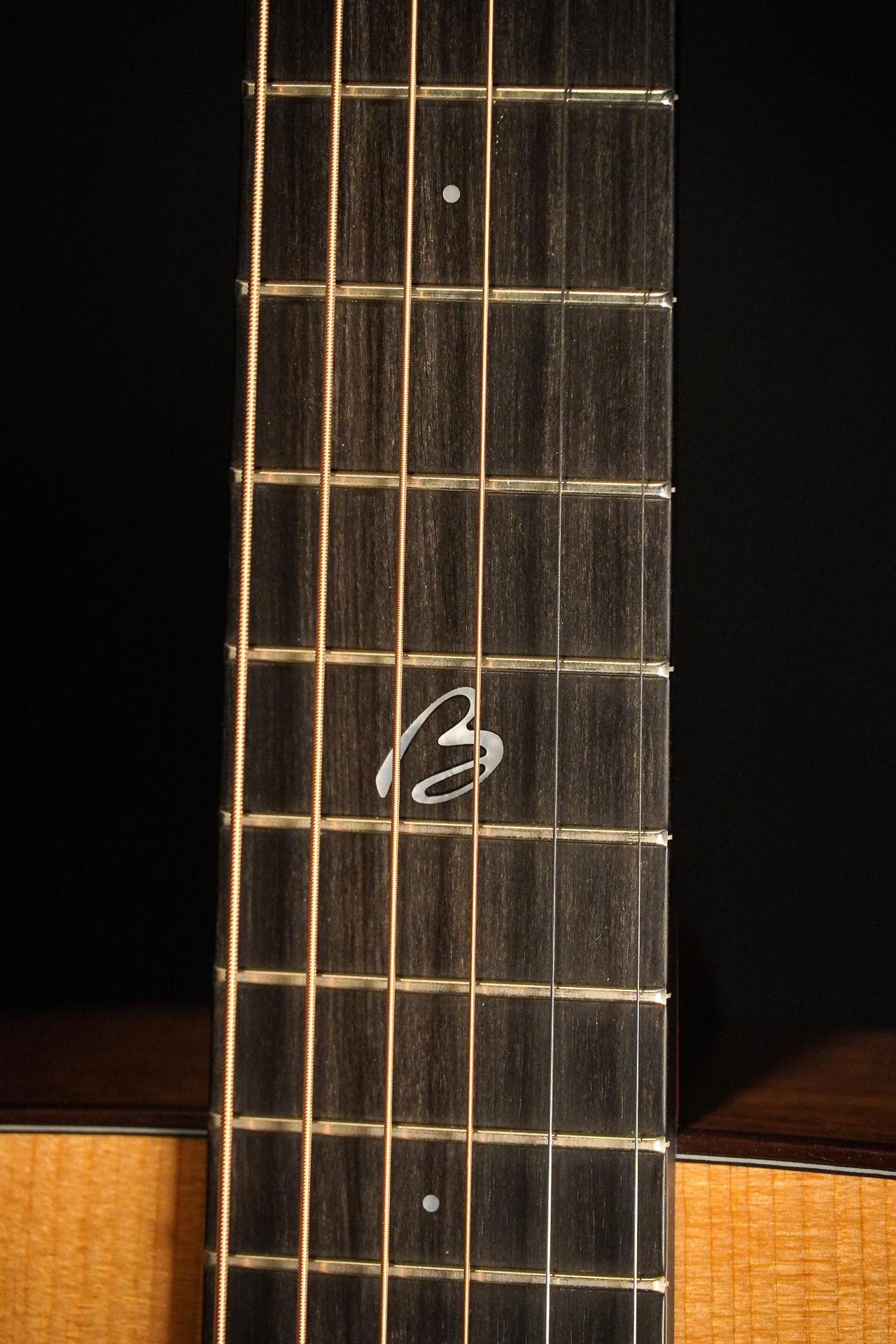 Boucher BG-42T G "Bluegrass Goose" Gold Touch - Image 5