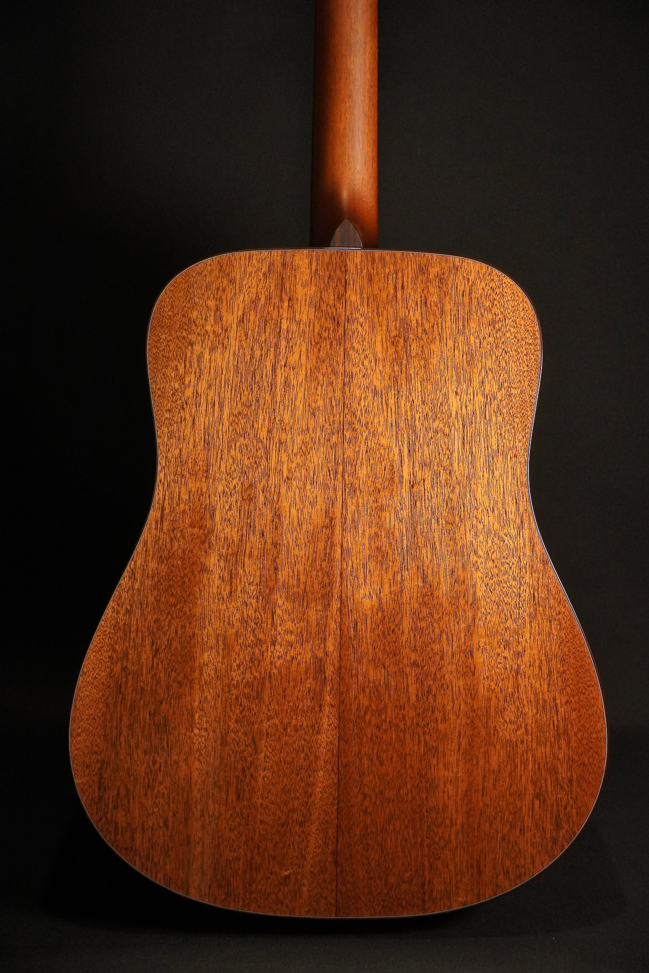 Boucher BG-42T G "Bluegrass Goose" Gold Touch - Image 9