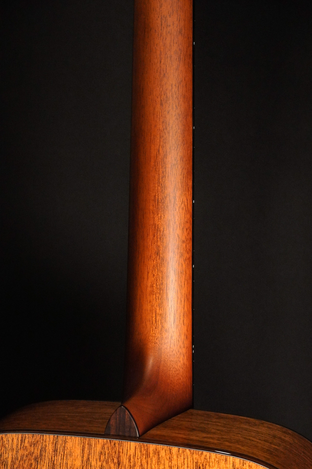 Boucher BG-42T G "Bluegrass Goose" Gold Touch - Image 10