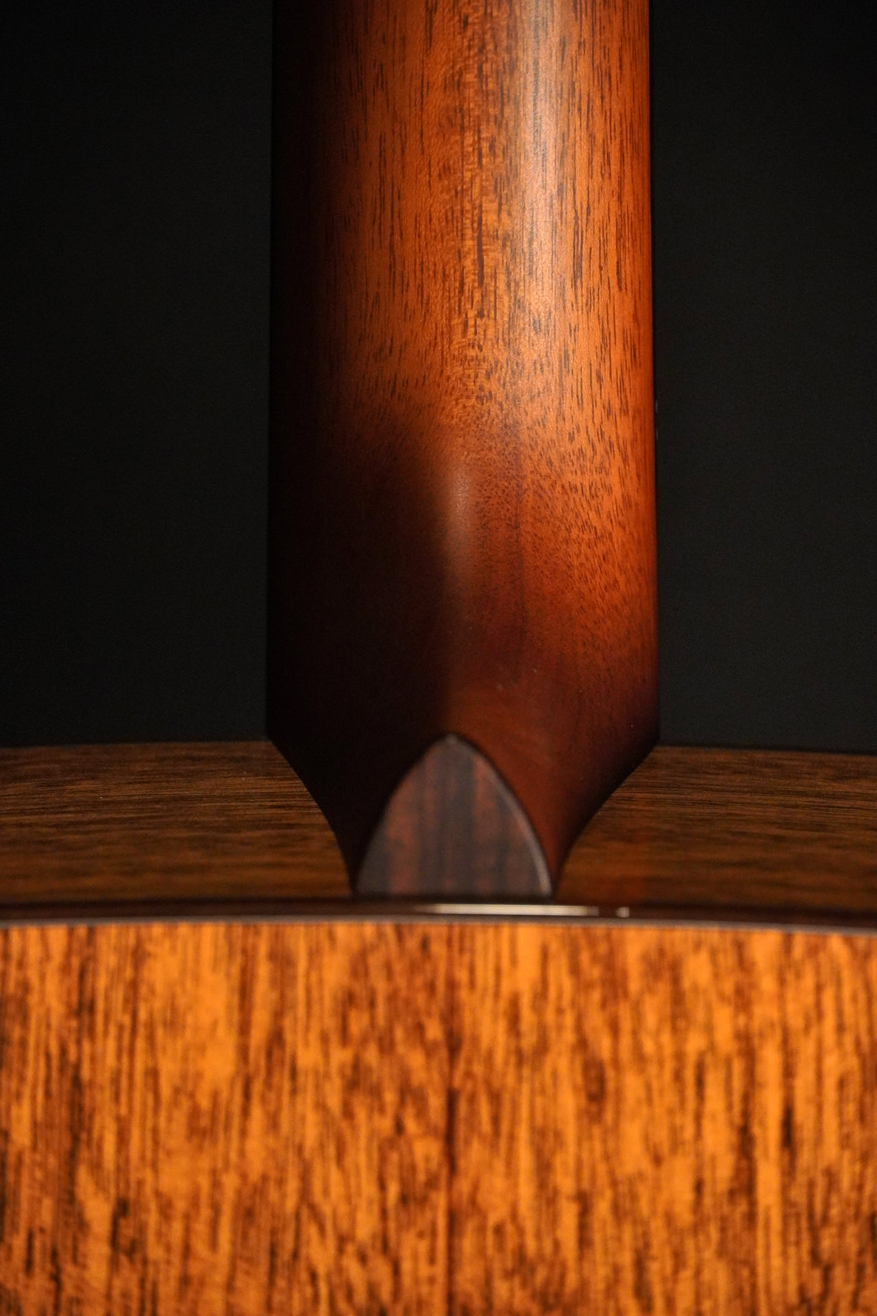 Boucher BG-42T G "Bluegrass Goose" Gold Touch - Image 11