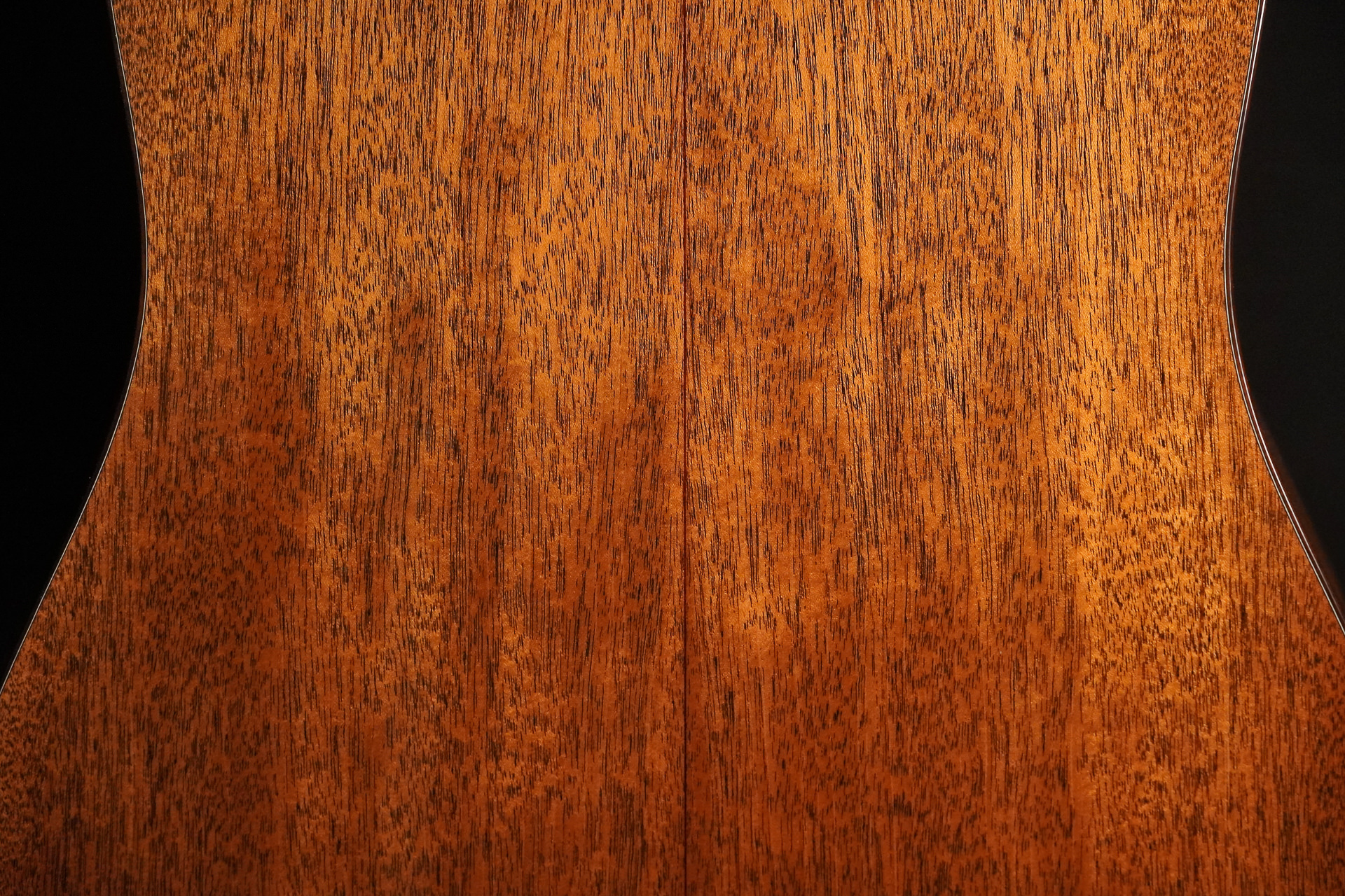 Boucher BG-42T G "Bluegrass Goose" Gold Touch - Image 12