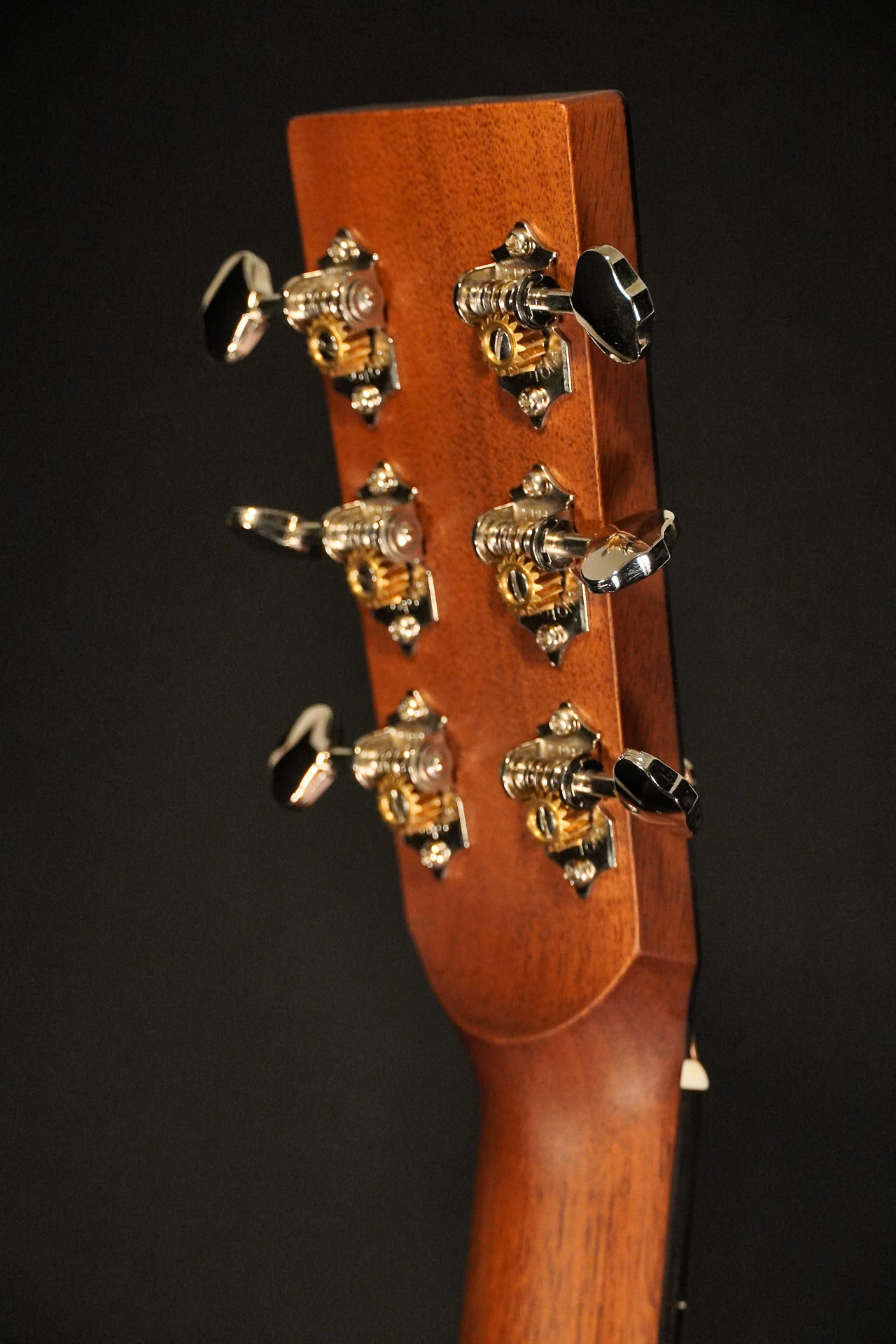 Boucher BG-42T G "Bluegrass Goose" Gold Touch - Image 14