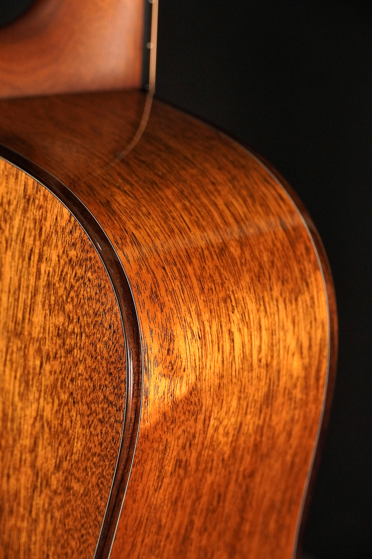 Boucher BG-42T G "Bluegrass Goose" Gold Touch - Image 15