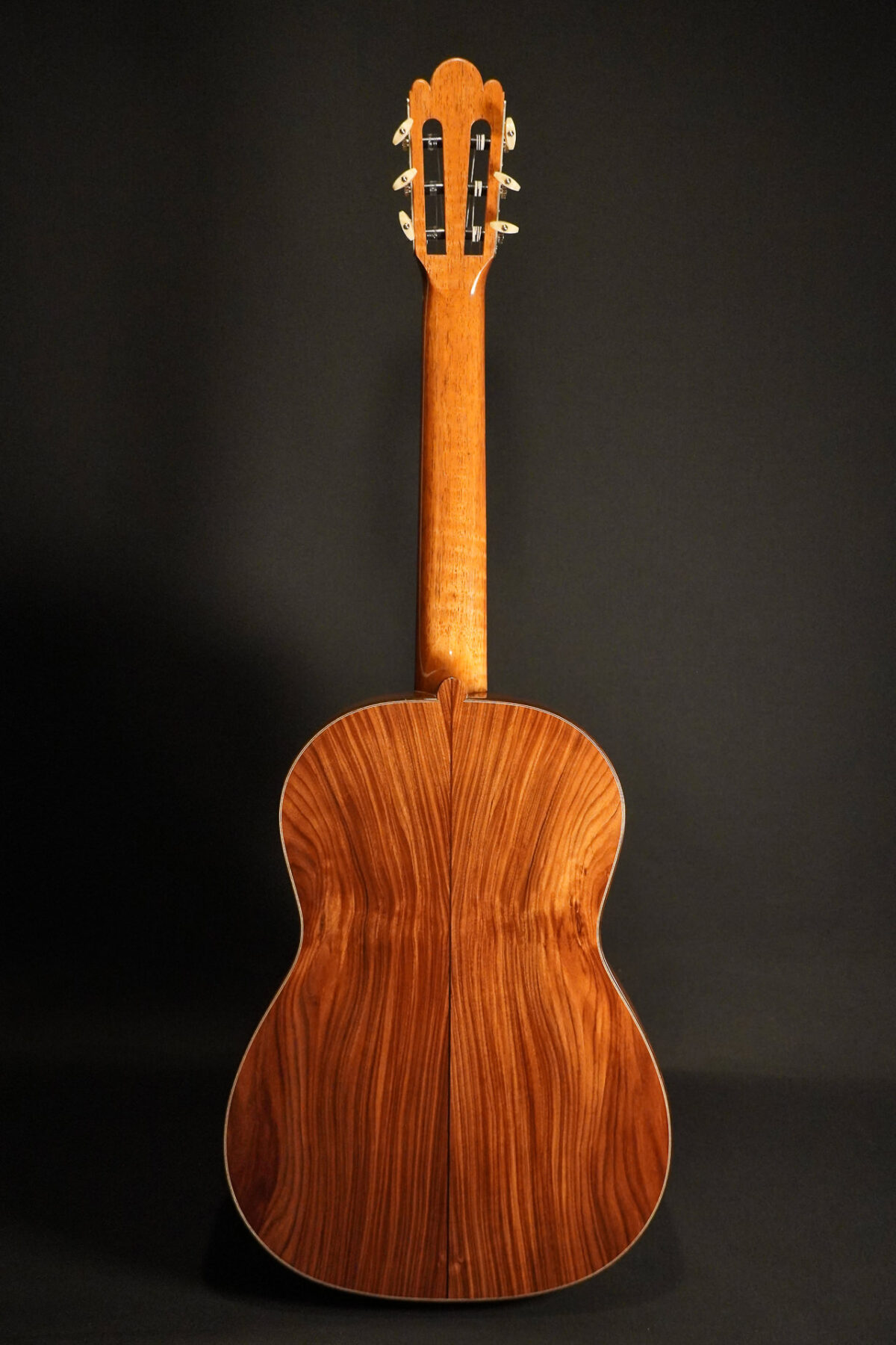 Alternative view of Wolfgang Jellinghaus - Torres SE113