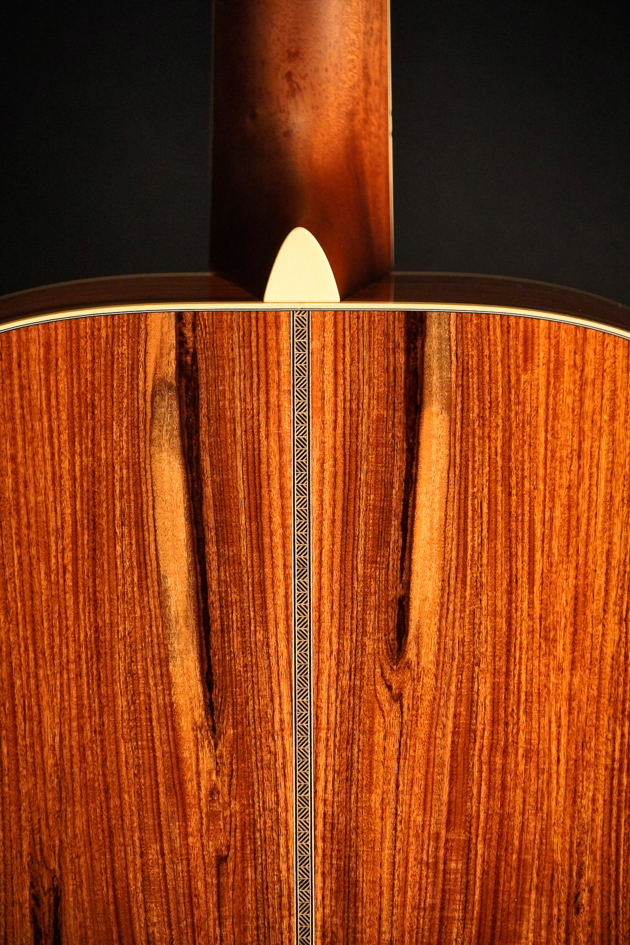 Rozawood Custom D-28 TR-S "Tony Rice" Santos Rosewood - Image 12