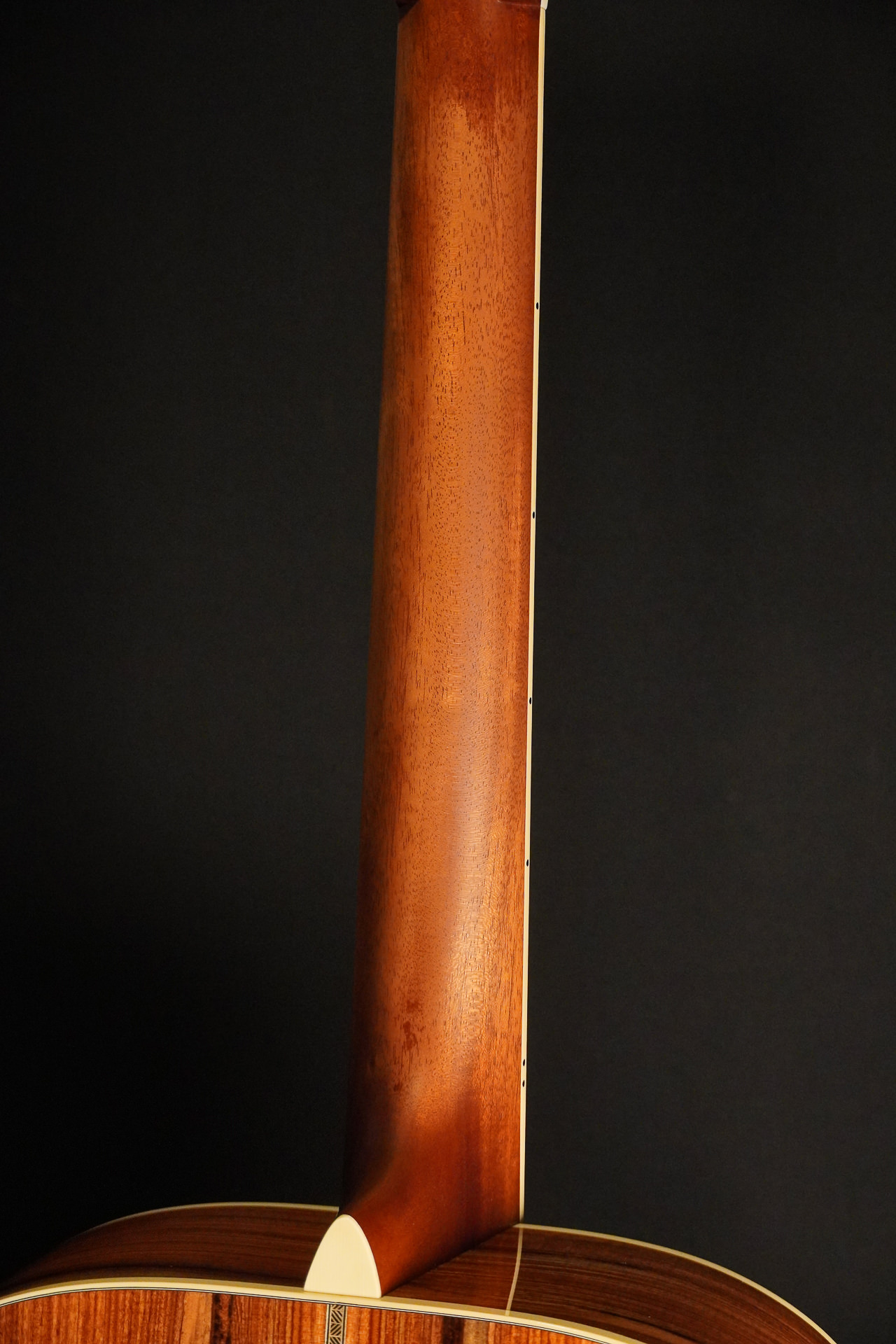 Rozawood Custom D-28 TR-S "Tony Rice" Santos Rosewood - Image 13