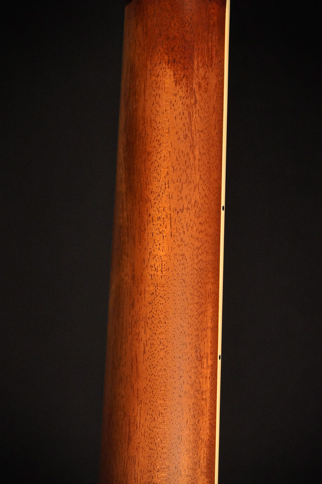 Rozawood Custom D-28 TR-S "Tony Rice" Santos Rosewood - Image 14