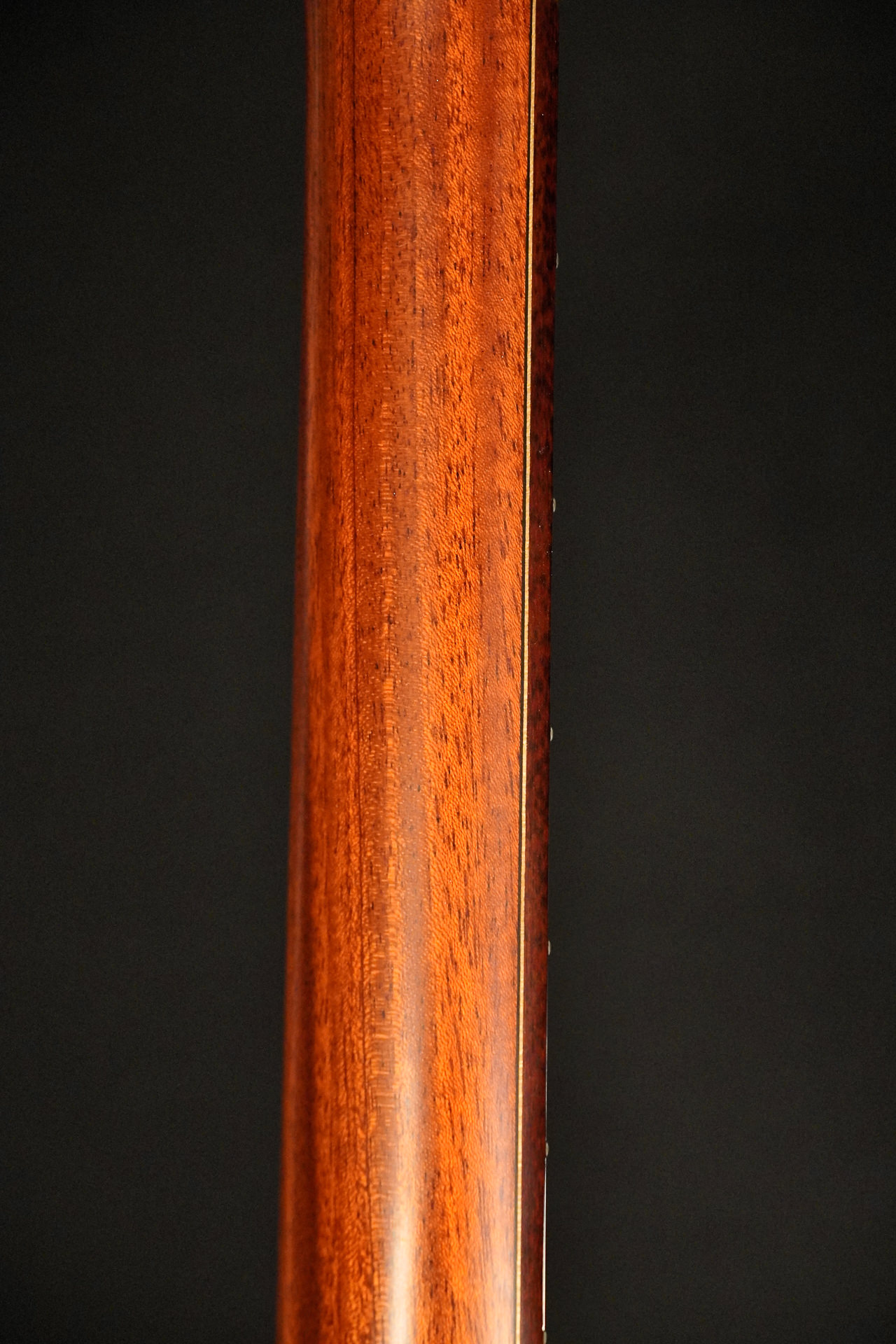 Stevens Dreadnought Indian Rosewood Lefthand - Image 14
