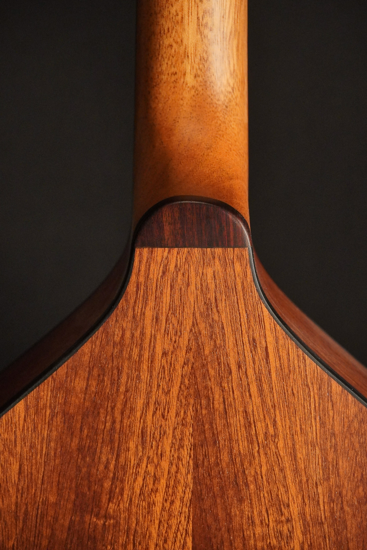 Stevens Mandola "Medieval" Mahagoni 2025 – Bild 8