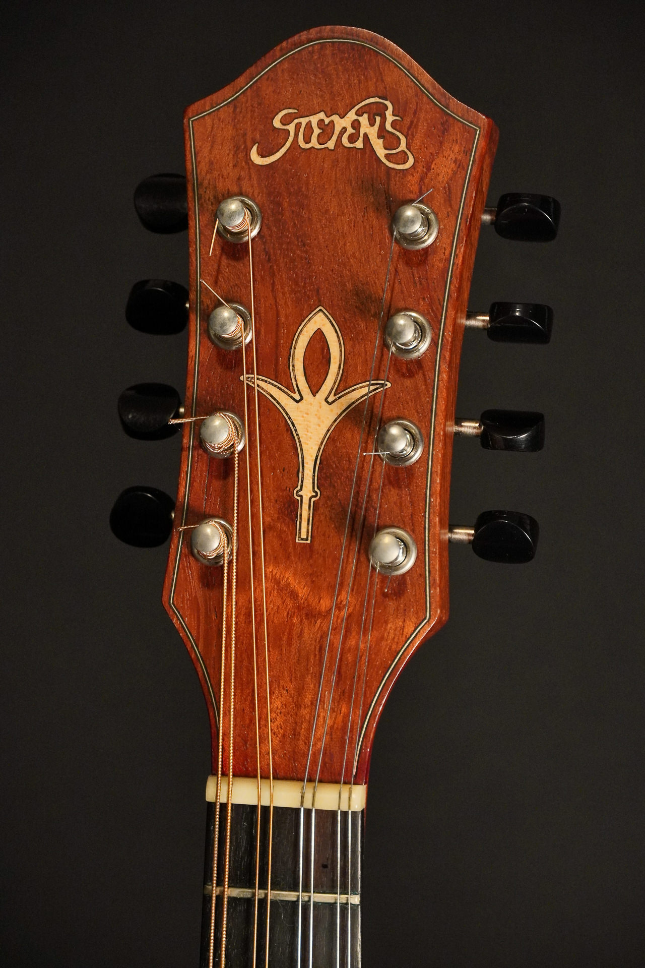 Stevens Mandolin Spruce / Bubinga - Image 5