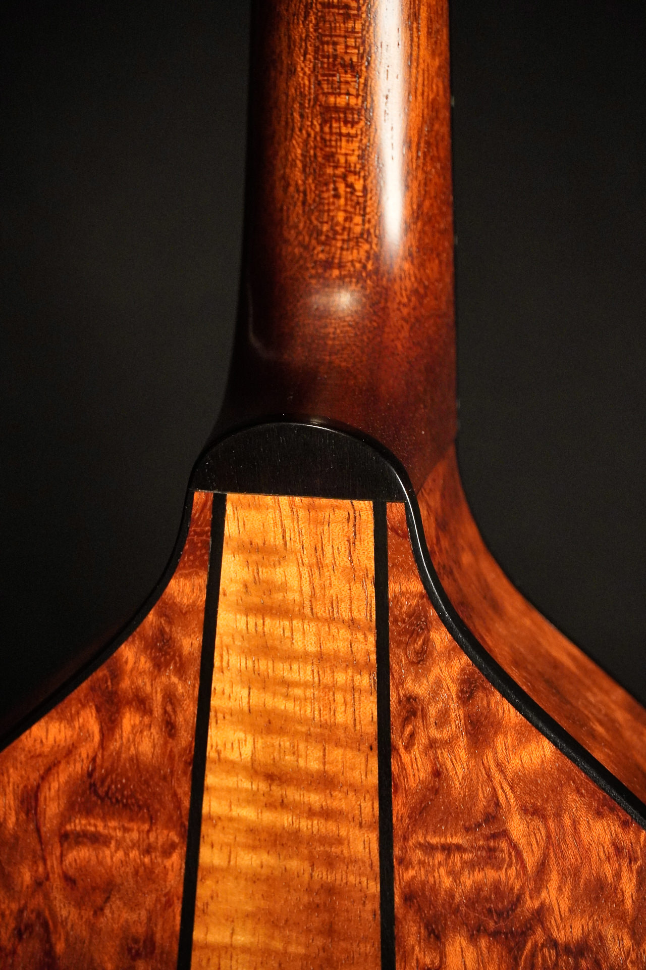 Stevens Mandolin Spruce / Bubinga - Image 9