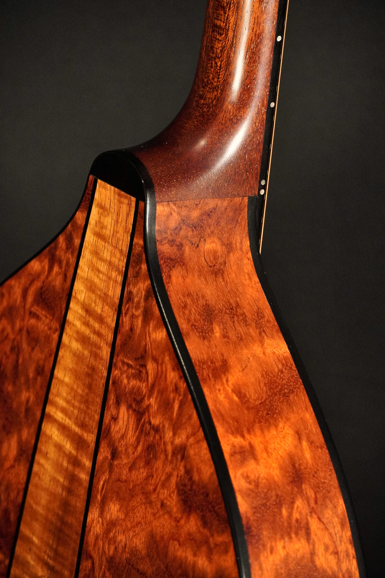 Stevens Mandolin Spruce / Bubinga - Image 11