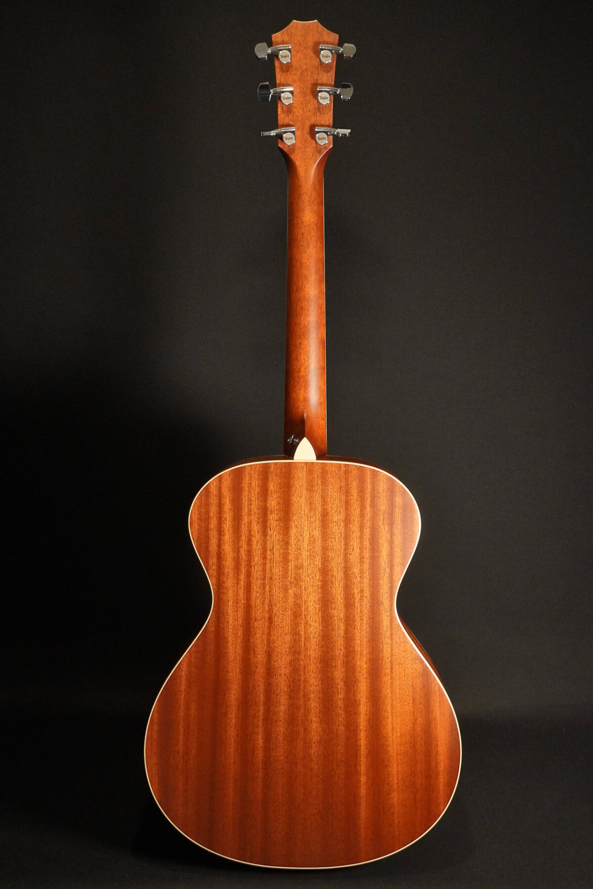 Alternative view of Taylor GC3 incl. Taylor Case