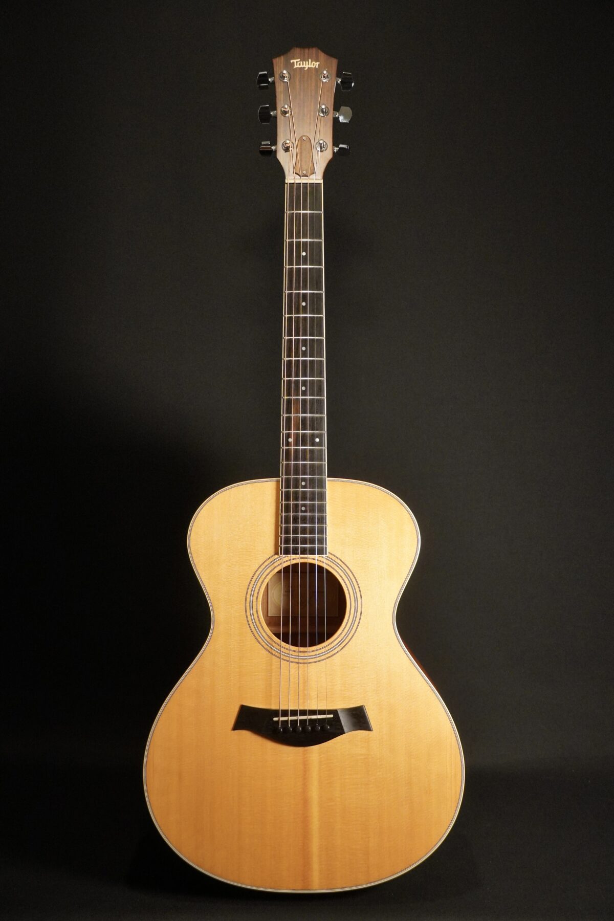 Taylor GC3 incl. Taylor Case