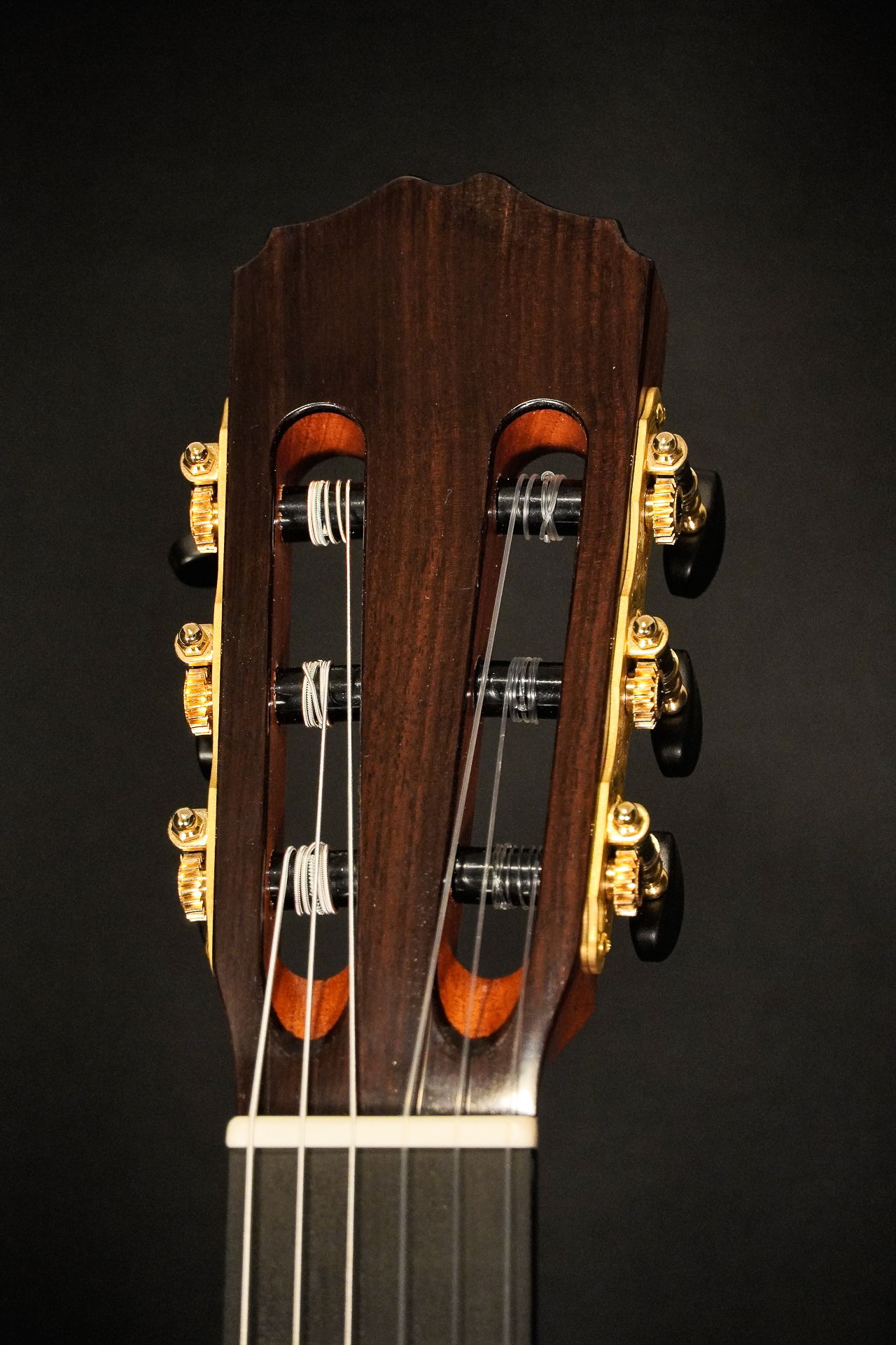 Pepe Romero L.R. (Lattice Raised) 2024 - Shellac - Image 7