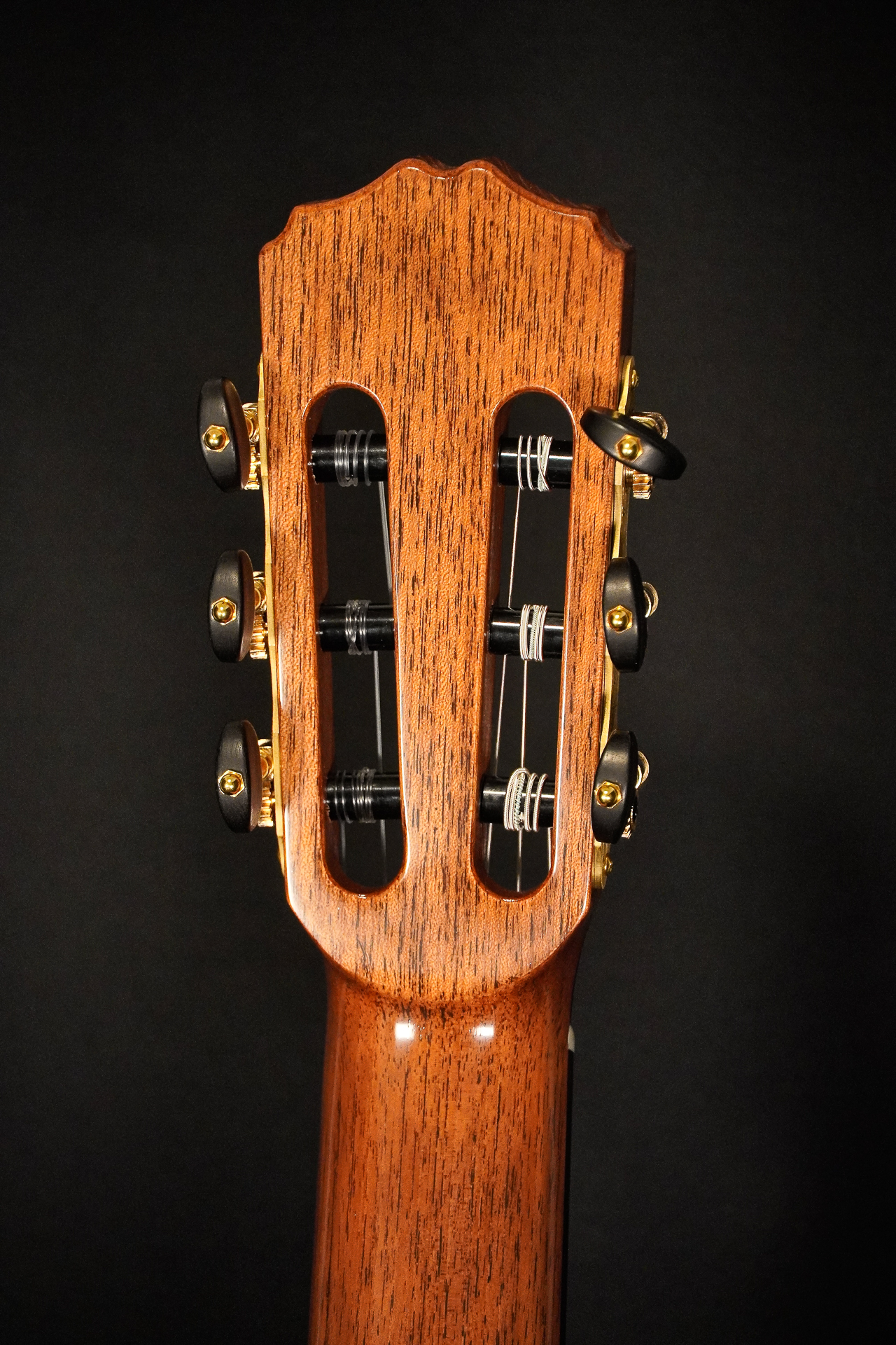 Pepe Romero L.R. (Lattice Raised) 2024 - Shellac - Image 9