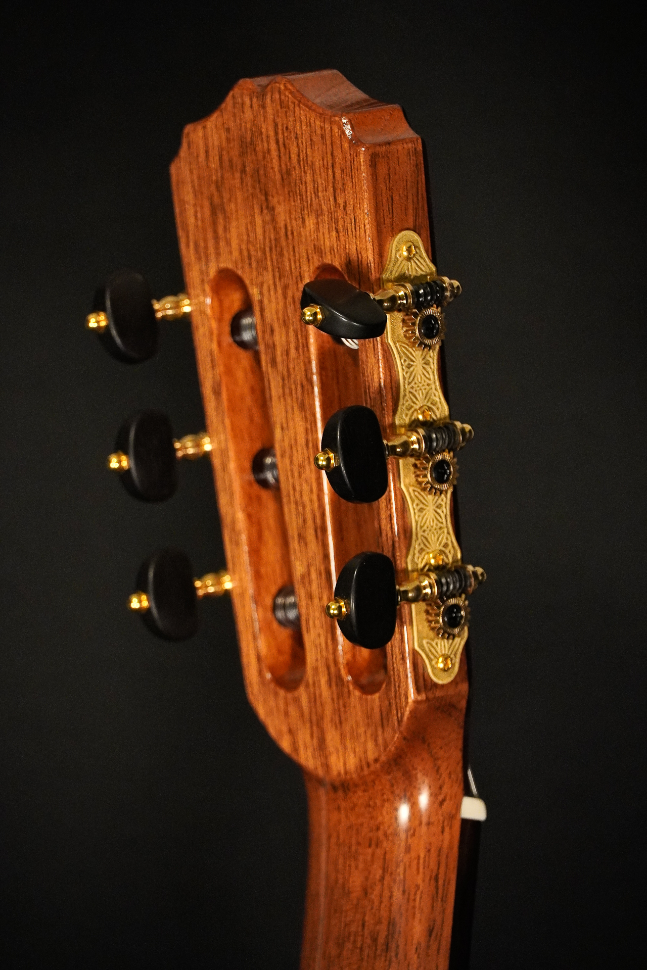 Pepe Romero L.R. (Lattice Raised) 2024 - Shellac - Image 15