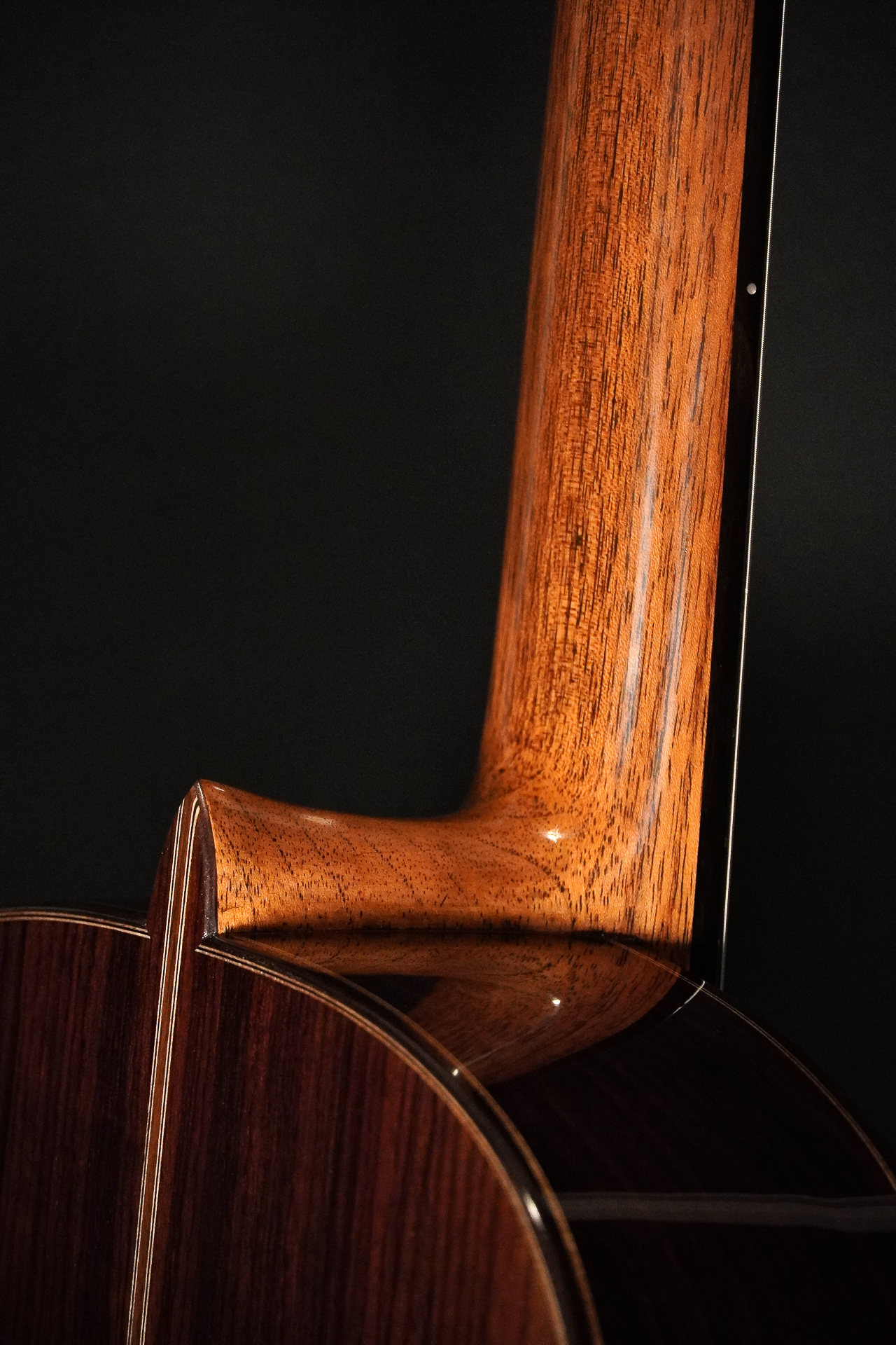 Pepe Romero L.R. (Lattice Raised) 2024 - Shellac - Image 16